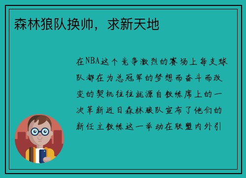 森林狼队换帅，求新天地