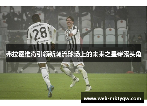 弗拉霍维奇引领新潮流球场上的未来之星崭露头角